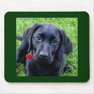 Black Labrador puppy mouse pad