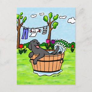 Black Labrador Puppy Pool Cartoon Postcard