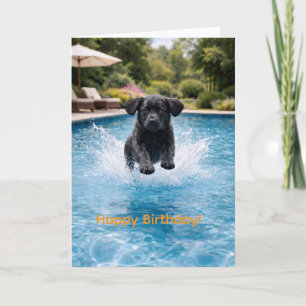 Black Labrador Puppy Pool Plunge   Cute Summer  Card