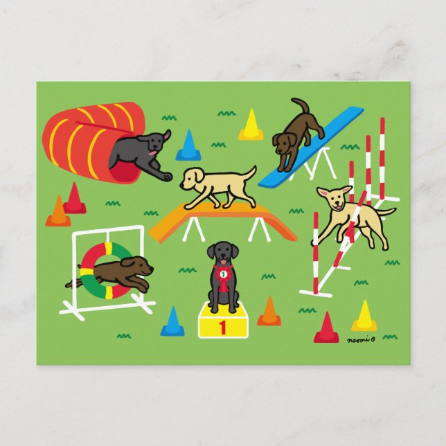Black Labrador Retriever Agility Cartoon Postcard (Front)