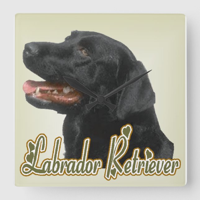 Black Labrador Retriever Art Gifts Square Wall Clock (Front)