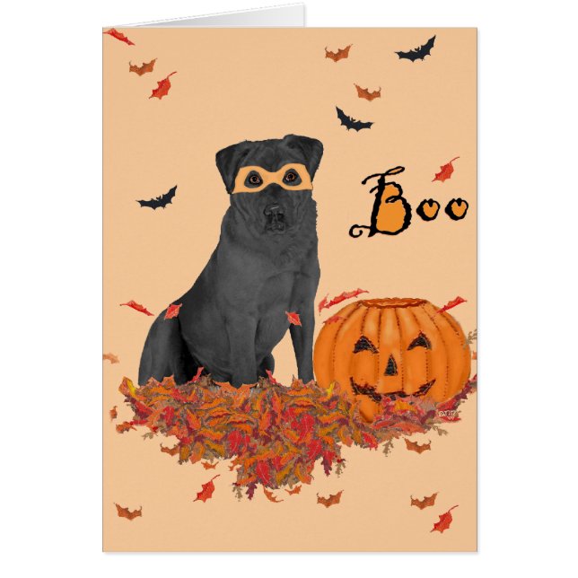 Black Labrador Retriever Boo! (Front)