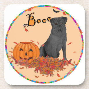 Black Labrador Retriever Boo! Coaster