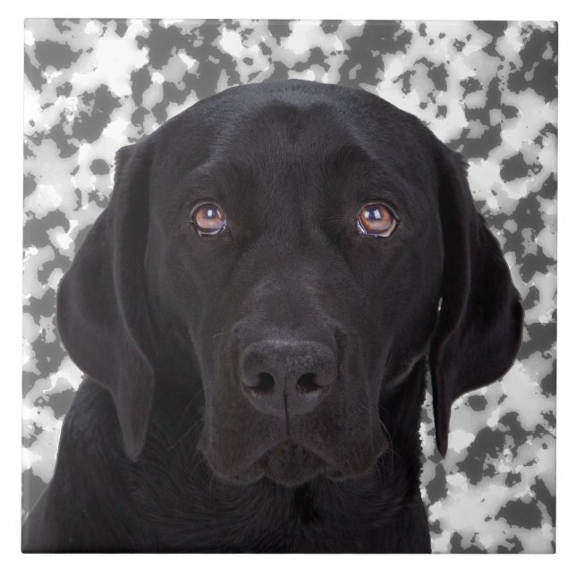 Black Labrador Retriever Ceramic Tile (Front)