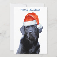 Black Labrador Retriever Christmas Cute Santa Dog