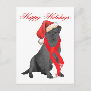 Black Labrador Retriever Christmas Holiday Postcard