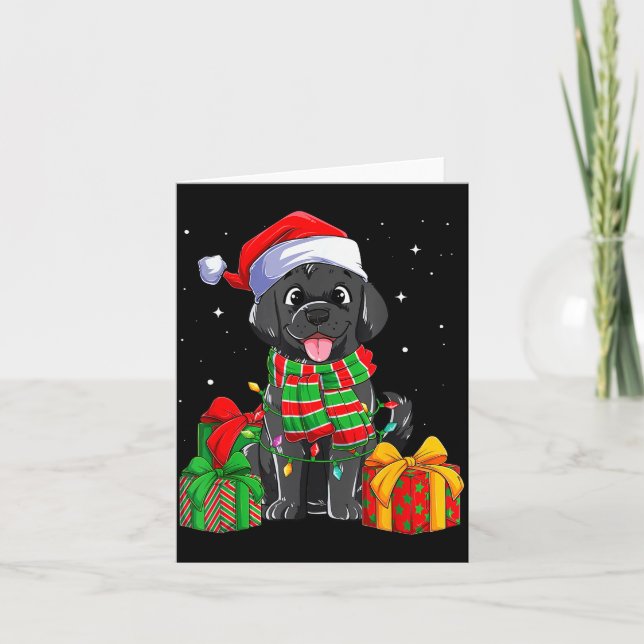 Black Labrador Retriever Christmas Lights Xmas Lab Card (Front)
