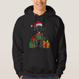 Black Labrador Retriever Christmas Lights Xmas Lab Hoodie