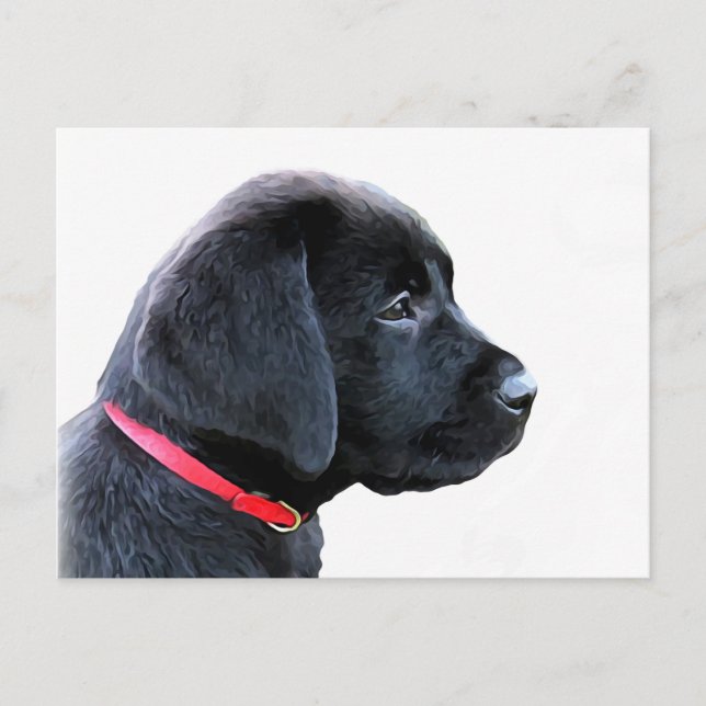 Black Labrador Retriever Cute Puppy - Black Lab Postcard (Front)