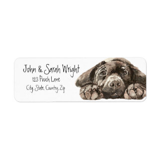 Black Labrador Retriever Dog Address Label Return Address Label