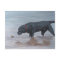 Black Labrador Retriever Dog Art Postcard