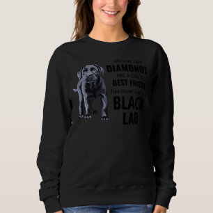 Black Labrador Retriever Dog Lab Owner Puppy Train Sweatshirt