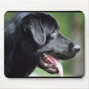 Black Labrador Retriever Dog Mouse Pad
