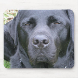 Black Labrador Retriever Dog Mouse Pad