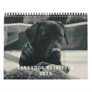 Black Labrador Retriever Dog Pet Photo Calendar