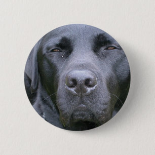 Black Labrador Retriever Dog Round Button