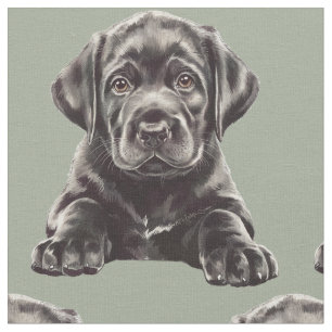 Black Labrador Retriever  Fabric