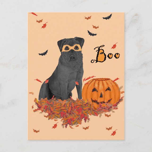 Black Labrador Retriever Halloween Postcard (Front)