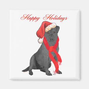Black Labrador Retriever Holiday Greetings Magnet