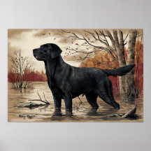 Black Labrador Retriever, Hunters Best Friend