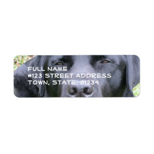 Black Labrador Retriever Mailing Label Return Address Label