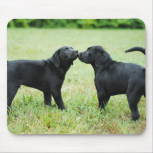 Black Labrador Retriever Mouse Pad