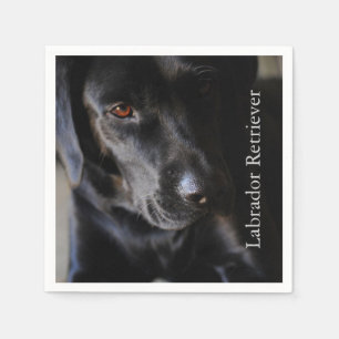 Black Labrador Retriever Napkin