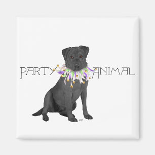Black Labrador Retriever Party Magnet