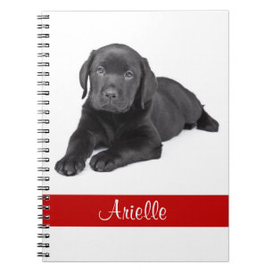 Black Labrador Retriever Personalised Notebook