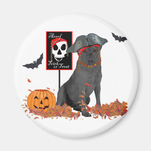 Black Labrador Retriever Pirate Magnet