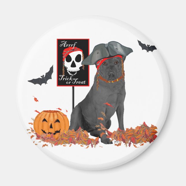 Black Labrador Retriever Pirate Magnet (Front)
