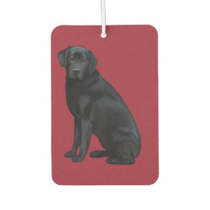 Black Labrador Retriever Portrait Car Air Freshener