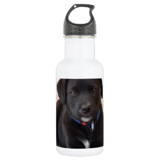 Black Labrador Retriever Puppy 532 Ml Water Bottle