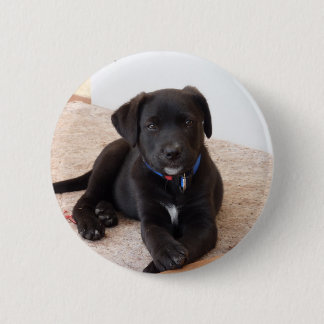 Black Labrador Retriever Puppy 6 Cm Round Badge