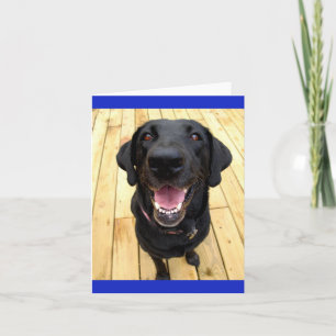 Black Labrador Retriever Puppy Dog Blank Notecard