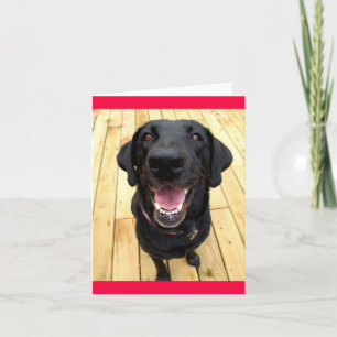 Black Labrador Retriever Puppy  Dog Blank Notecard