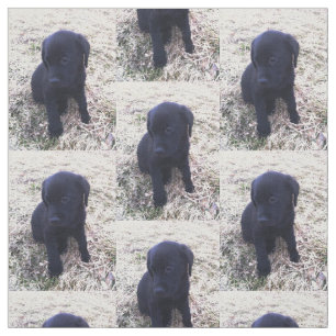 Black Labrador Retriever Puppy Fabric