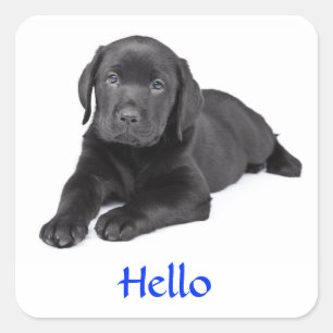 Black Labrador Retriever Puppy Hello Sticker