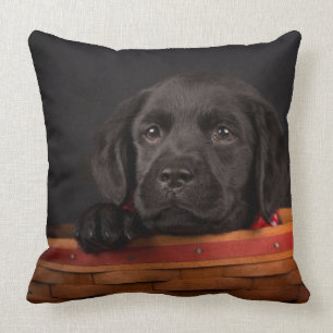 Black labrador retriever puppy in a basket cushion