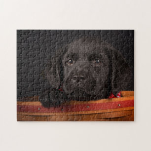 Black labrador retriever puppy in a basket jigsaw puzzle