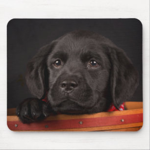 Black labrador retriever puppy in a basket mouse pad