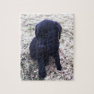Black Labrador Retriever Puppy Jigsaw Puzzle