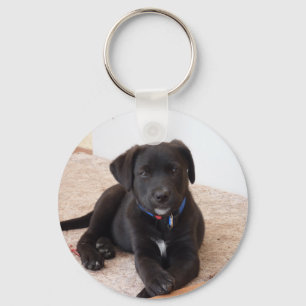Black Labrador Retriever Puppy Key Ring