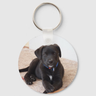 Black Labrador Retriever Puppy Key Ring