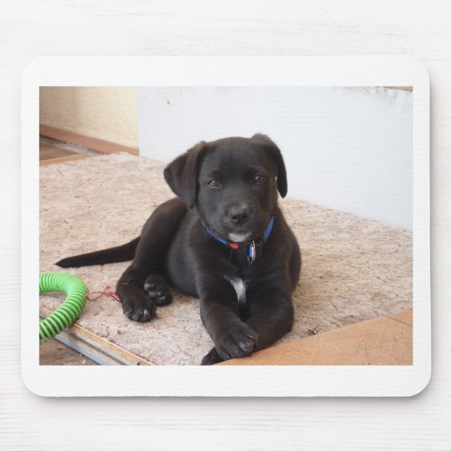 Black Labrador Retriever Puppy Mouse Pad (Front)