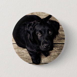 Black Labrador Retriever Puppy on Wood 6 Cm Round Badge