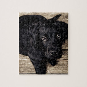 Black Labrador Retriever Puppy on Wood Jigsaw Puzzle