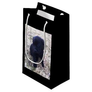 Black Labrador Retriever Puppy Small Gift Bag