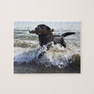Black Labrador retriever running through surf, Jigsaw Puzzle