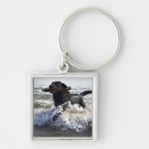 Black Labrador retriever running through surf, Key Ring